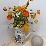 Casa Angolorotondo Appartement San Remo